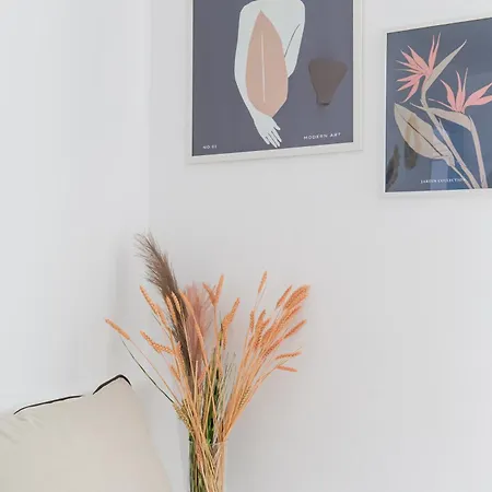 格利法乡村公寓式酒店 公寓 *