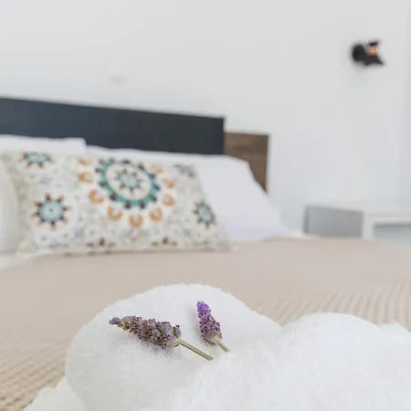 格利法乡村公寓式酒店 公寓 德里奥斯