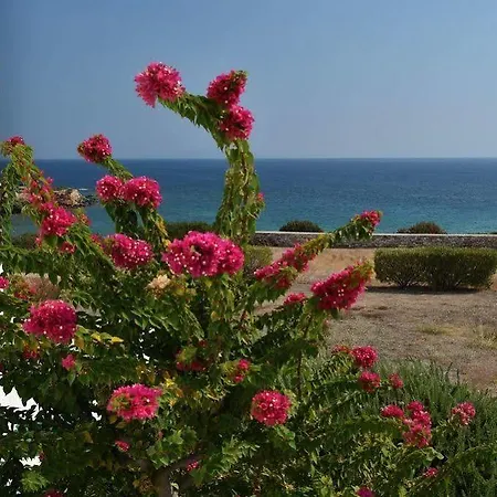 格利法乡村公寓式酒店 *